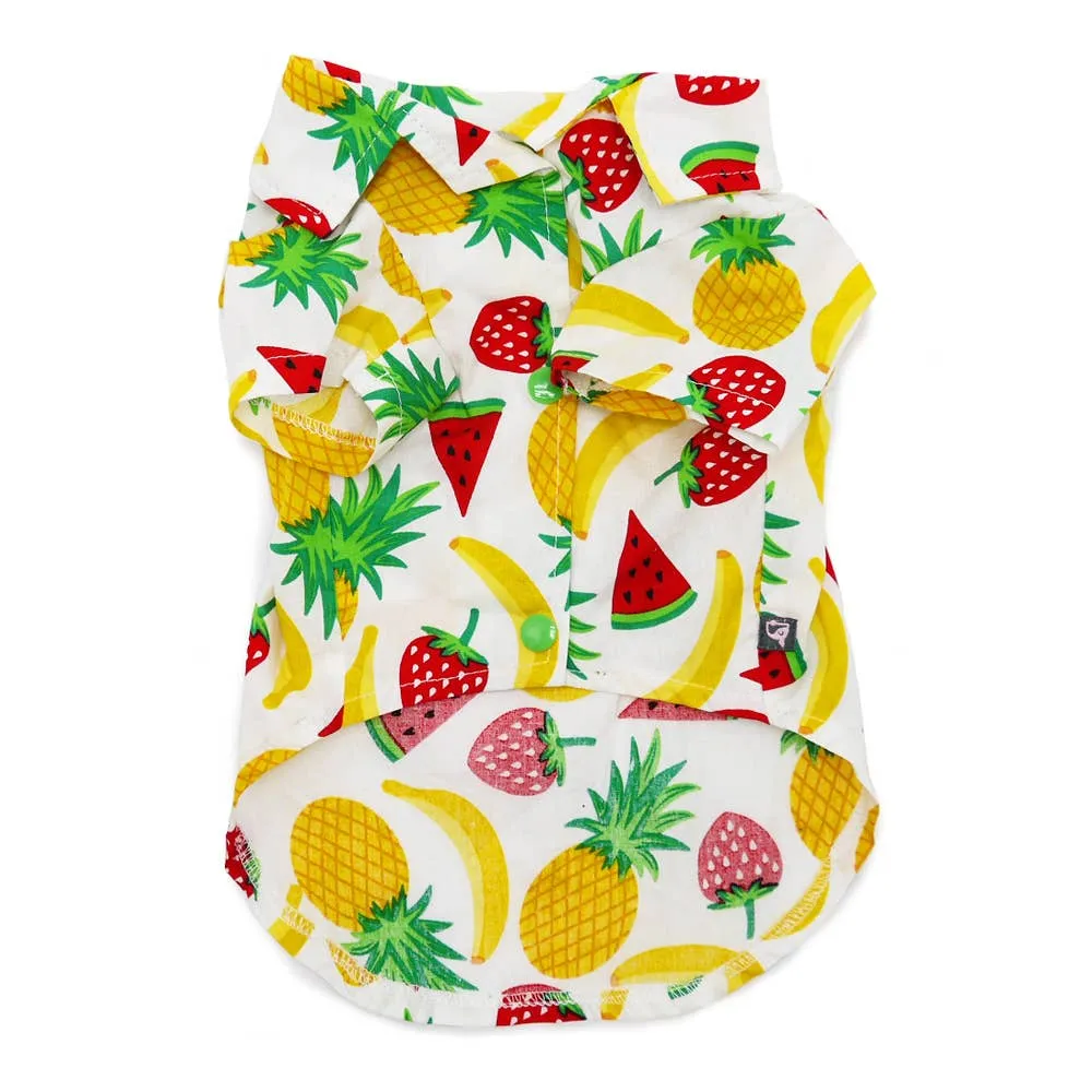 Dogo Pet Closed Out Item Fruitlicious Dog Shirt