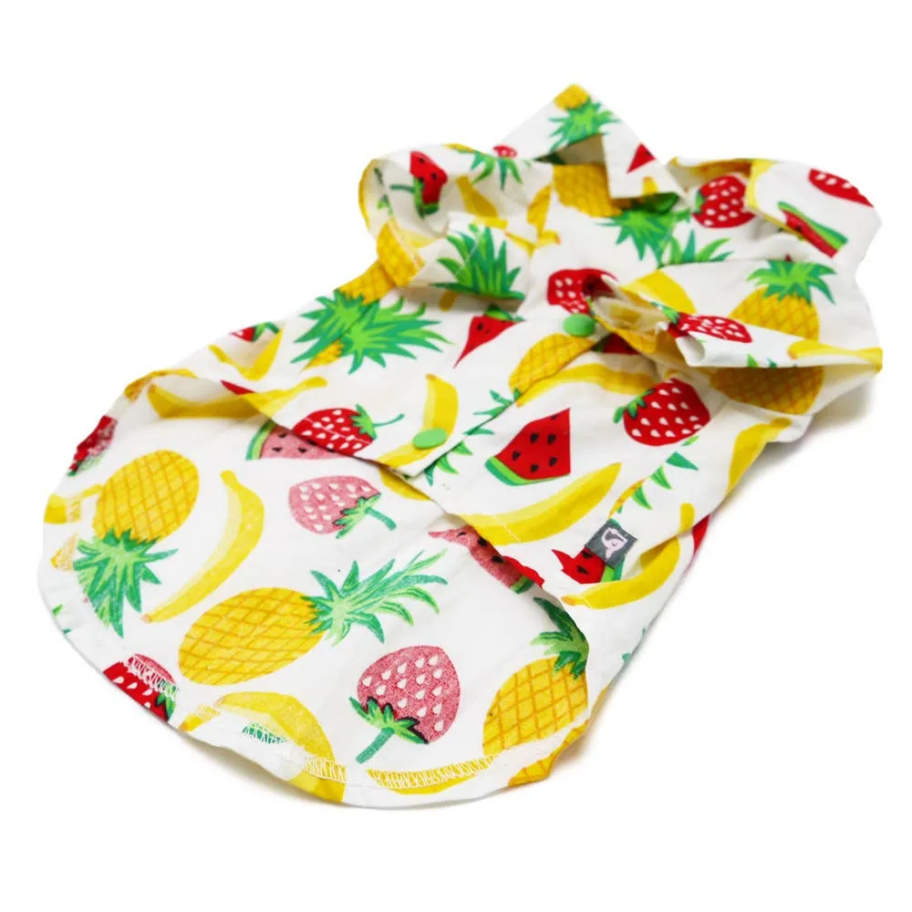 Dogo Pet Closed Out Item Fruitlicious Dog Shirt