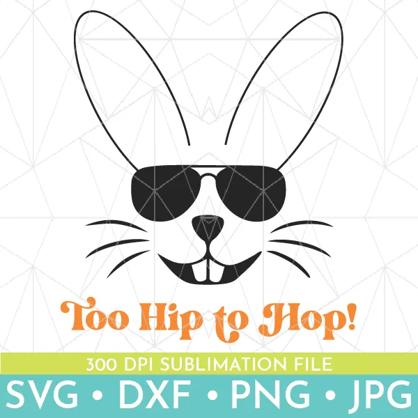Too Hip to Hop