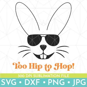Too Hip to Hop